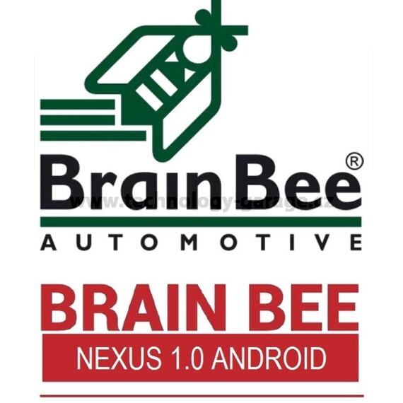 Licence Brain Bee NEXUS ANDROID